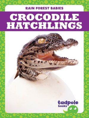 cover image of Crocodile Hatchlings